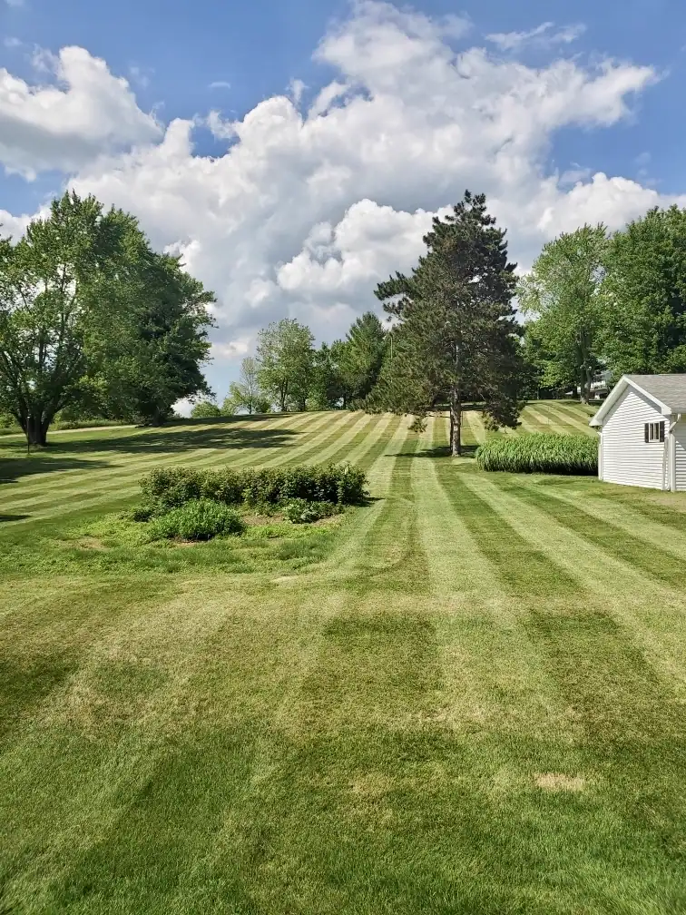 Wide view of a freshly mowed lawn