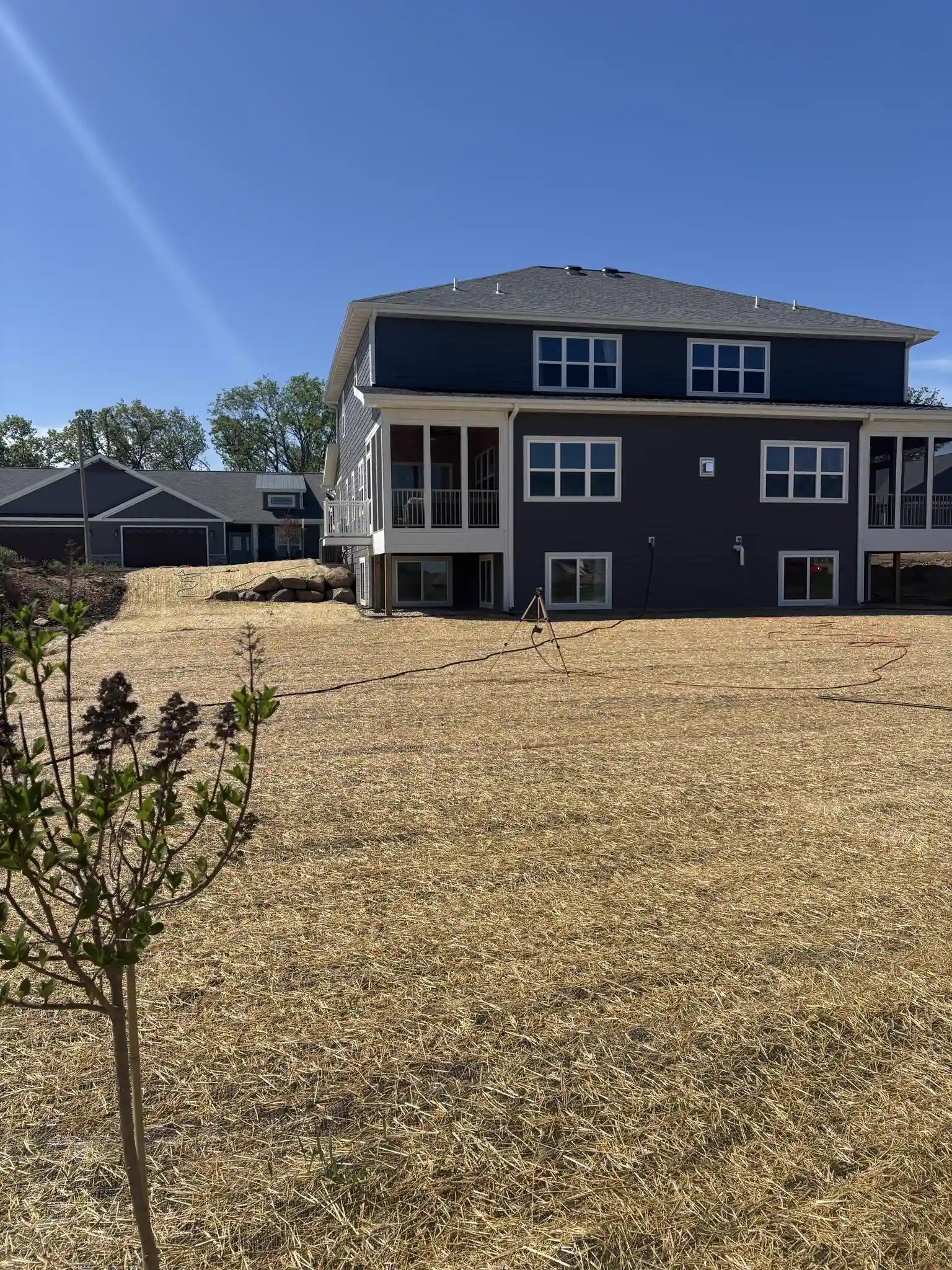 Newly seeded lawn with straw mulch behind a home
